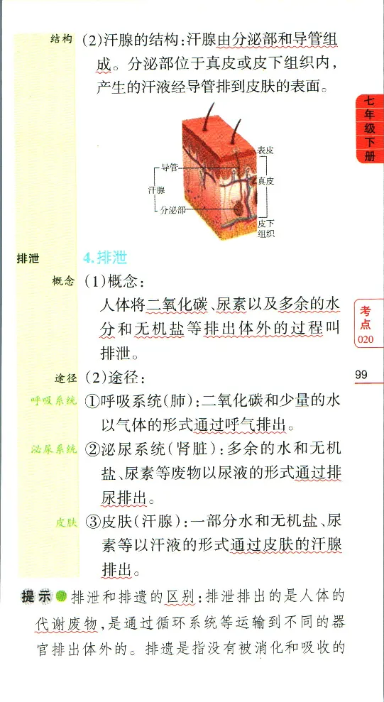 加分宝初中生物考点清单_中考押题2026《中考押题》系列（9科全套实时更新中）_中考9科加分宝