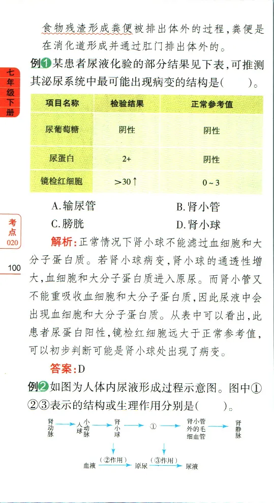 加分宝初中生物考点清单_中考押题2026《中考押题》系列（9科全套实时更新中）_中考9科加分宝