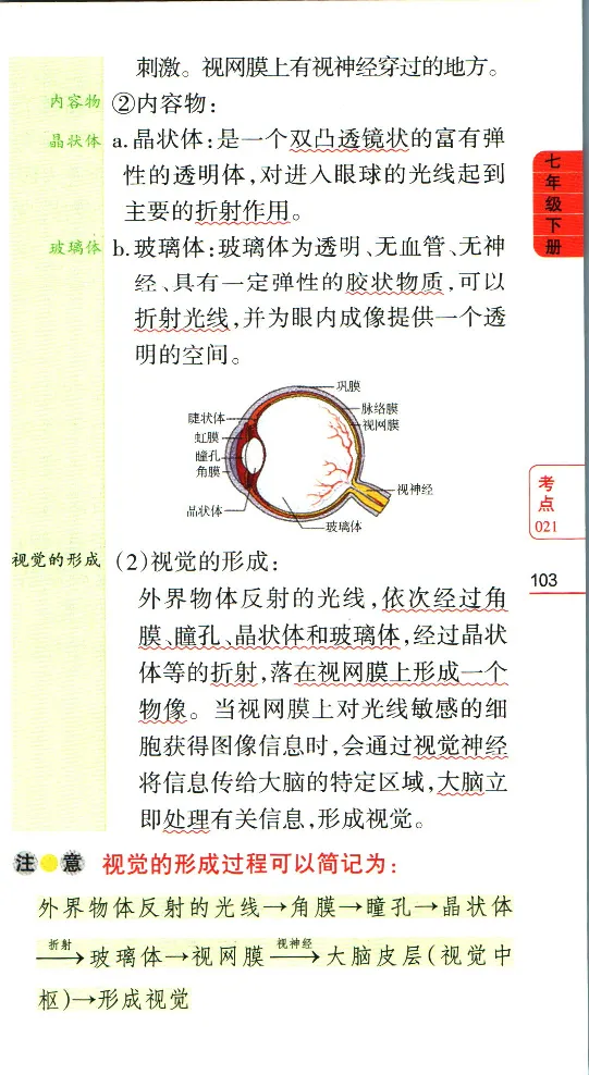 加分宝初中生物考点清单_中考押题2026《中考押题》系列（9科全套实时更新中）_中考9科加分宝