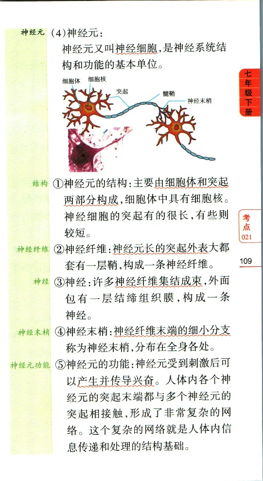 加分宝初中生物考点清单_中考押题2026《中考押题》系列（9科全套实时更新中）_中考9科加分宝