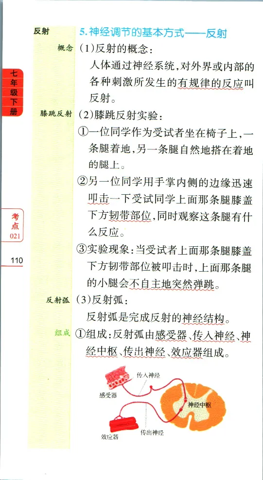 加分宝初中生物考点清单_中考押题2026《中考押题》系列（9科全套实时更新中）_中考9科加分宝