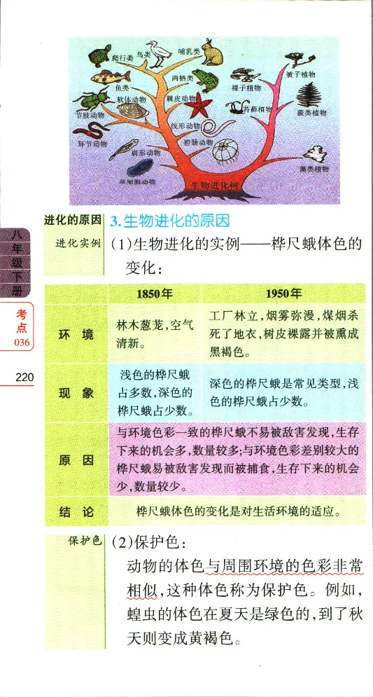 加分宝初中生物考点清单_中考押题2026《中考押题》系列（9科全套实时更新中）_中考9科加分宝
