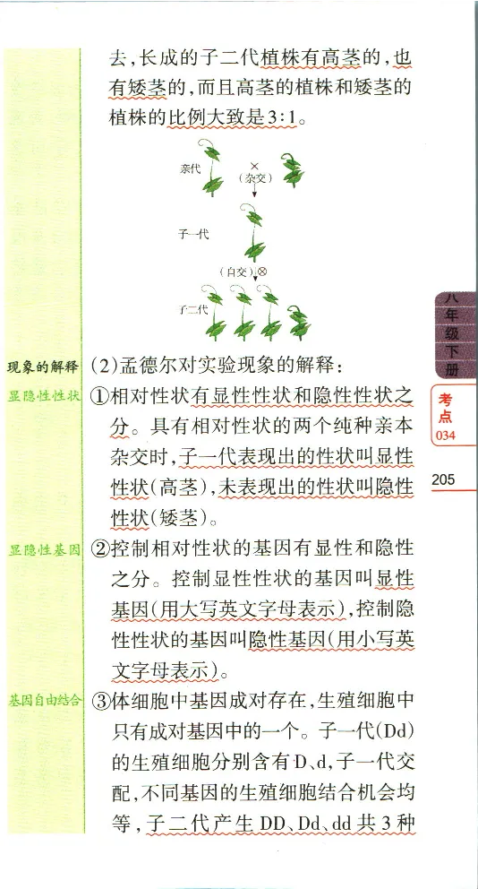 加分宝初中生物考点清单_中考押题2026《中考押题》系列（9科全套实时更新中）_中考9科加分宝