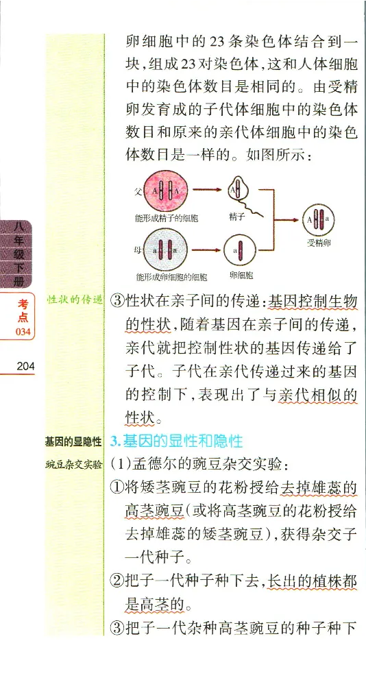 加分宝初中生物考点清单_中考押题2026《中考押题》系列（9科全套实时更新中）_中考9科加分宝