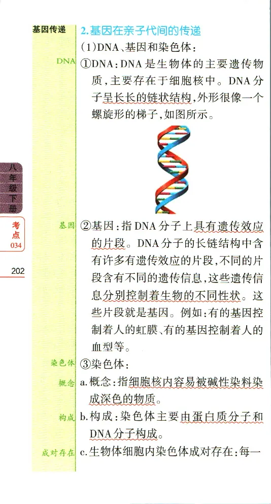 加分宝初中生物考点清单_中考押题2026《中考押题》系列（9科全套实时更新中）_中考9科加分宝
