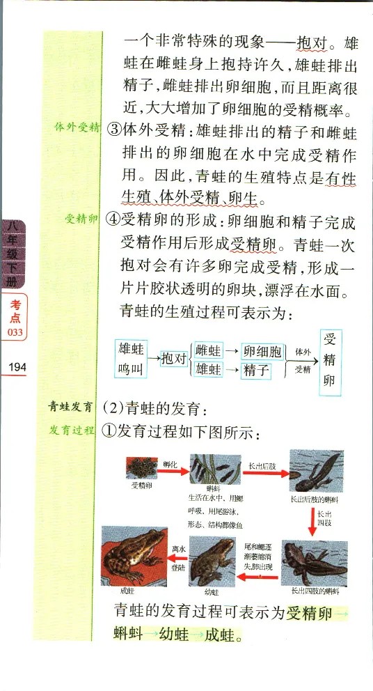 加分宝初中生物考点清单_中考押题2026《中考押题》系列（9科全套实时更新中）_中考9科加分宝