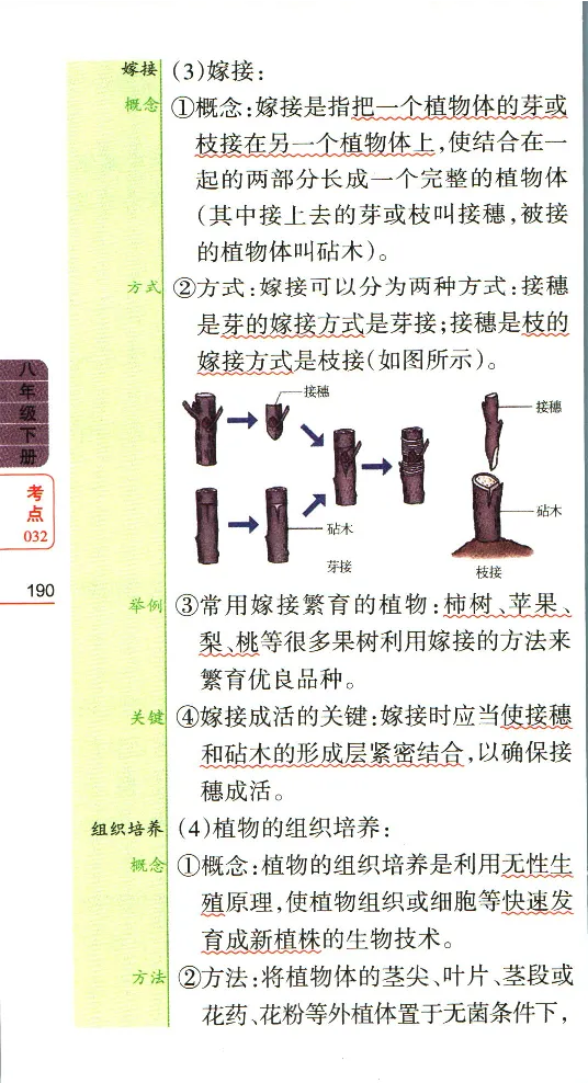加分宝初中生物考点清单_中考押题2026《中考押题》系列（9科全套实时更新中）_中考9科加分宝
