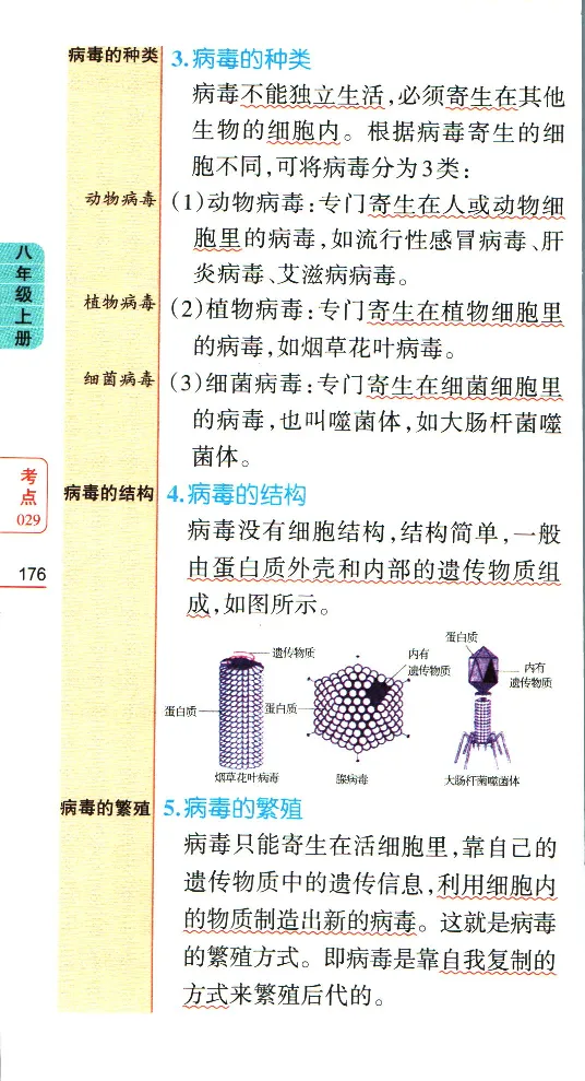 加分宝初中生物考点清单_中考押题2026《中考押题》系列（9科全套实时更新中）_中考9科加分宝