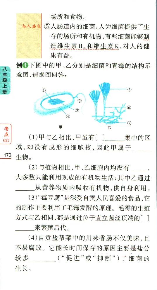 加分宝初中生物考点清单_中考押题2026《中考押题》系列（9科全套实时更新中）_中考9科加分宝