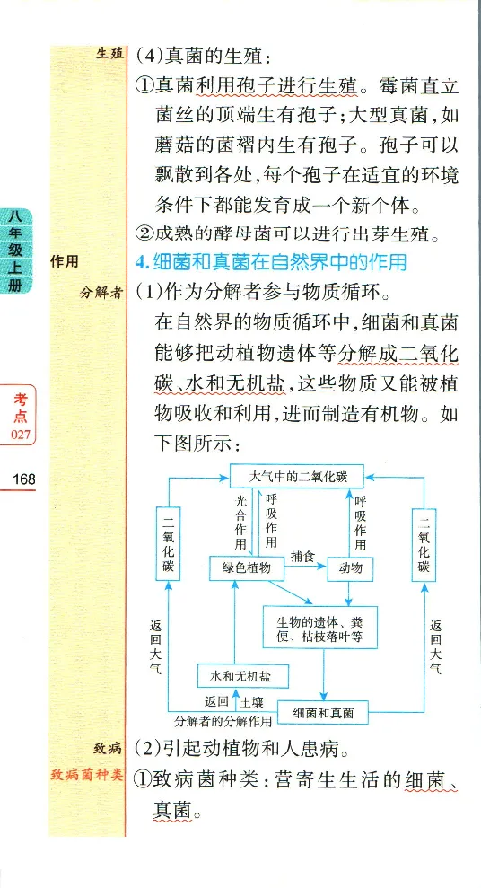 加分宝初中生物考点清单_中考押题2026《中考押题》系列（9科全套实时更新中）_中考9科加分宝