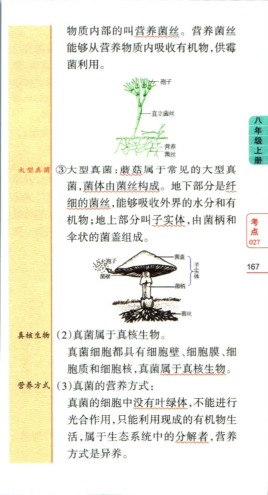 加分宝初中生物考点清单_中考押题2026《中考押题》系列（9科全套实时更新中）_中考9科加分宝