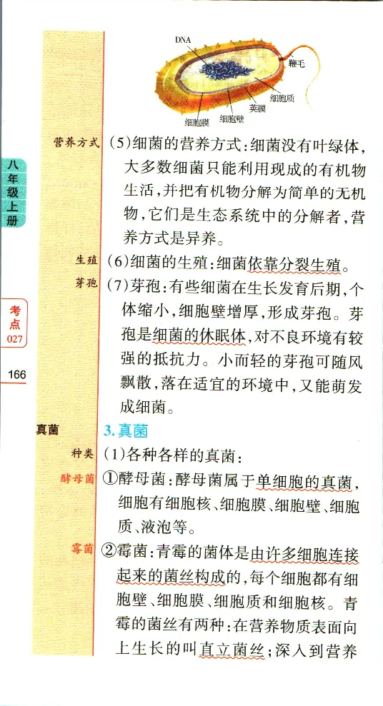 加分宝初中生物考点清单_中考押题2026《中考押题》系列（9科全套实时更新中）_中考9科加分宝