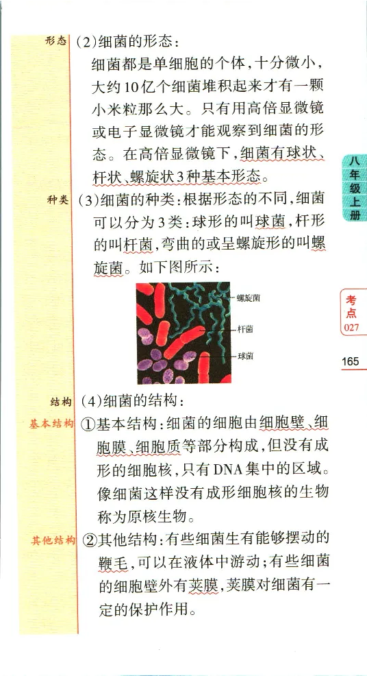 加分宝初中生物考点清单_中考押题2026《中考押题》系列（9科全套实时更新中）_中考9科加分宝