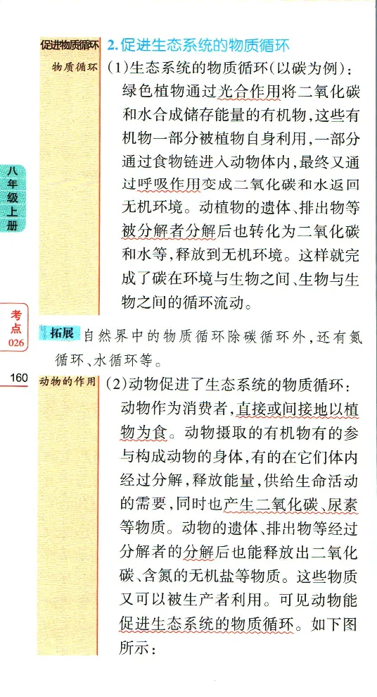 加分宝初中生物考点清单_中考押题2026《中考押题》系列（9科全套实时更新中）_中考9科加分宝