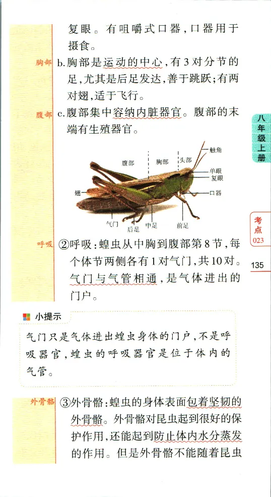 加分宝初中生物考点清单_中考押题2026《中考押题》系列（9科全套实时更新中）_中考9科加分宝