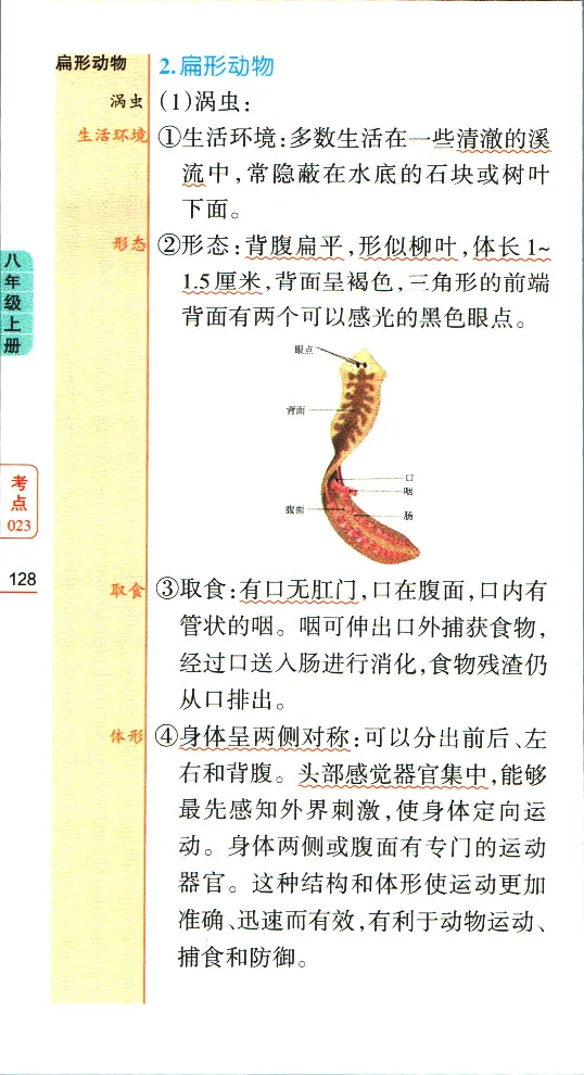 加分宝初中生物考点清单_中考押题2026《中考押题》系列（9科全套实时更新中）_中考9科加分宝