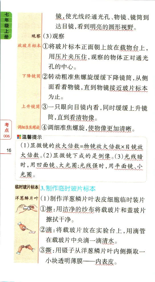 加分宝初中生物考点清单_中考押题2026《中考押题》系列（9科全套实时更新中）_中考9科加分宝