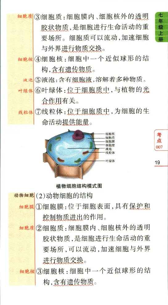 加分宝初中生物考点清单_中考押题2026《中考押题》系列（9科全套实时更新中）_中考9科加分宝