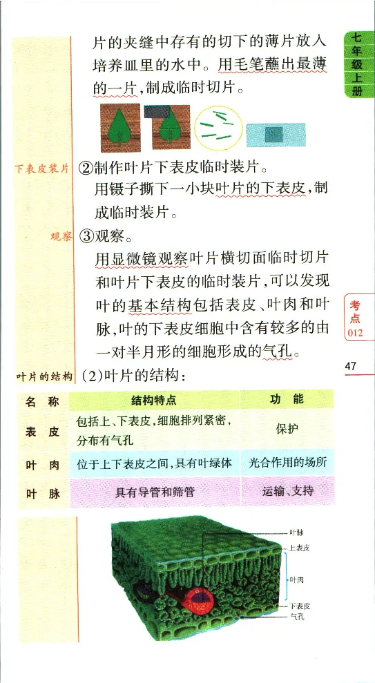 加分宝初中生物考点清单_中考押题2026《中考押题》系列（9科全套实时更新中）_中考9科加分宝