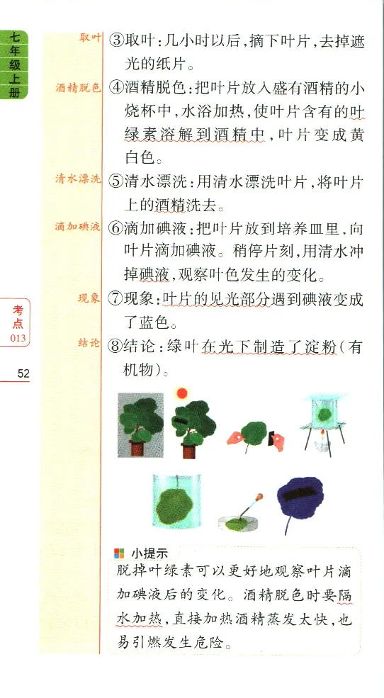 加分宝初中生物考点清单_中考押题2026《中考押题》系列（9科全套实时更新中）_中考9科加分宝