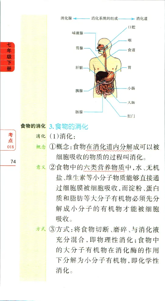 加分宝初中生物考点清单_中考押题2026《中考押题》系列（9科全套实时更新中）_中考9科加分宝