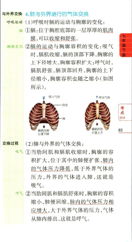 加分宝初中生物考点清单_中考押题2026《中考押题》系列（9科全套实时更新中）_中考9科加分宝