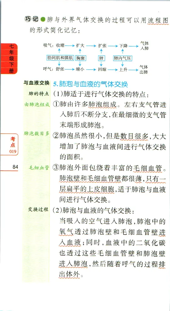 加分宝初中生物考点清单_中考押题2026《中考押题》系列（9科全套实时更新中）_中考9科加分宝