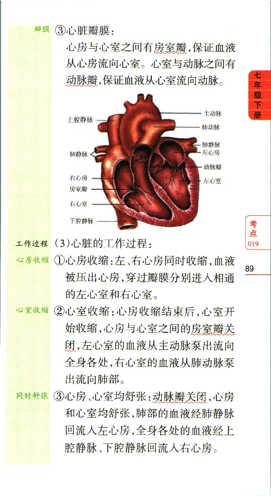 加分宝初中生物考点清单_中考押题2026《中考押题》系列（9科全套实时更新中）_中考9科加分宝