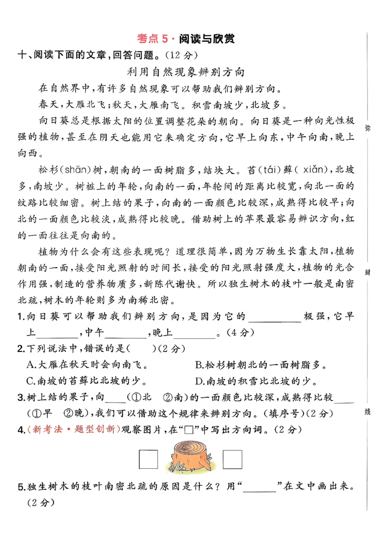二下语文A4_2026春季学期_周末预测小卷_26春语文_2下一本周末小测卷语文人教版26春