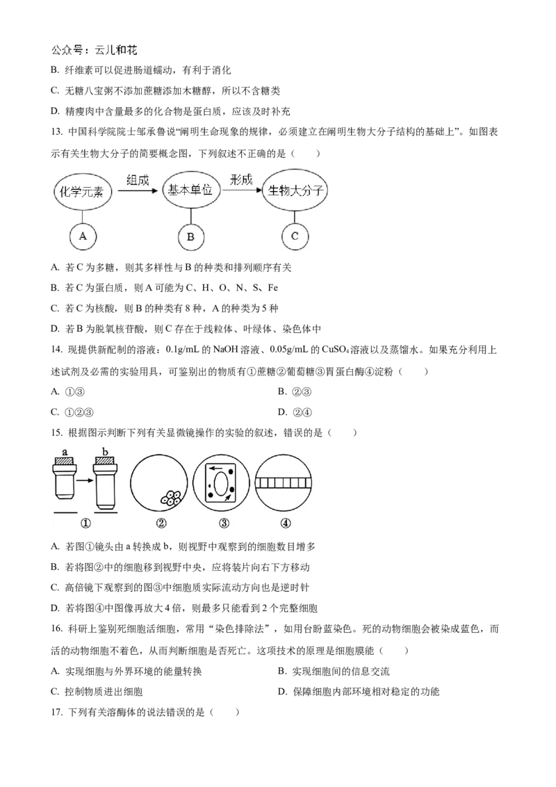 天津市红桥区2024-2025学年高一上学期期中考试生物试卷Word版无答案_2024年11月试卷_1127天津市红桥区2024-2025学年高一上学期期中考试