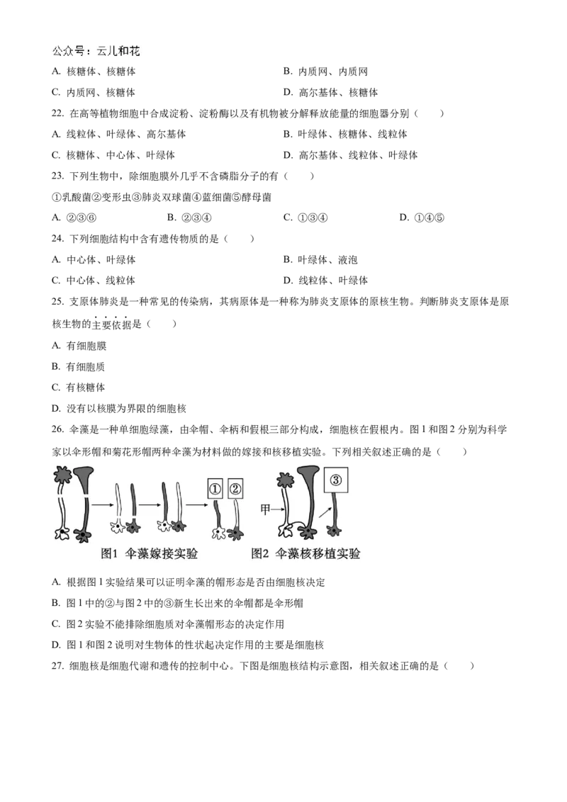 天津市红桥区2024-2025学年高一上学期期中考试生物试卷Word版无答案_2024年11月试卷_1127天津市红桥区2024-2025学年高一上学期期中考试