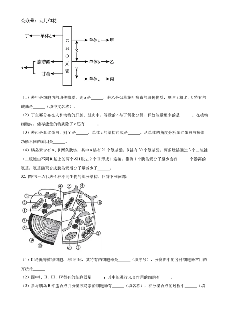 天津市红桥区2024-2025学年高一上学期期中考试生物试卷Word版无答案_2024年11月试卷_1127天津市红桥区2024-2025学年高一上学期期中考试