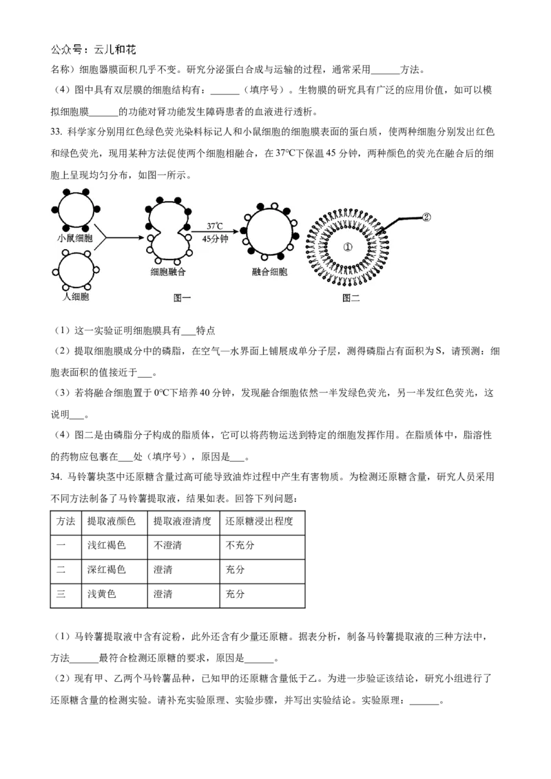 天津市红桥区2024-2025学年高一上学期期中考试生物试卷Word版无答案_2024年11月试卷_1127天津市红桥区2024-2025学年高一上学期期中考试