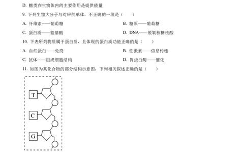 天津市红桥区2024-2025学年高一上学期期中考试生物试卷Word版无答案_2024年11月试卷_1127天津市红桥区2024-2025学年高一上学期期中考试