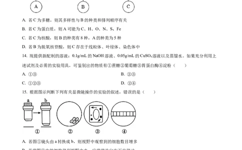 天津市红桥区2024-2025学年高一上学期期中考试生物试卷Word版无答案_2024年11月试卷_1127天津市红桥区2024-2025学年高一上学期期中考试