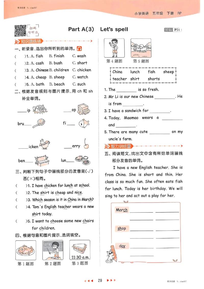 五年级英语下册人教PEP版25春《53天天练》_26春53小学系列合集_4-6年级英语下册人教PEP版《53天天练》