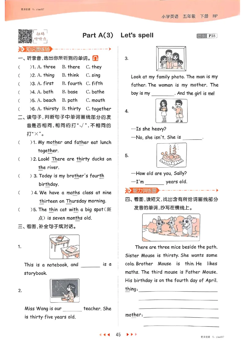 五年级英语下册人教PEP版25春《53天天练》_26春53小学系列合集_4-6年级英语下册人教PEP版《53天天练》