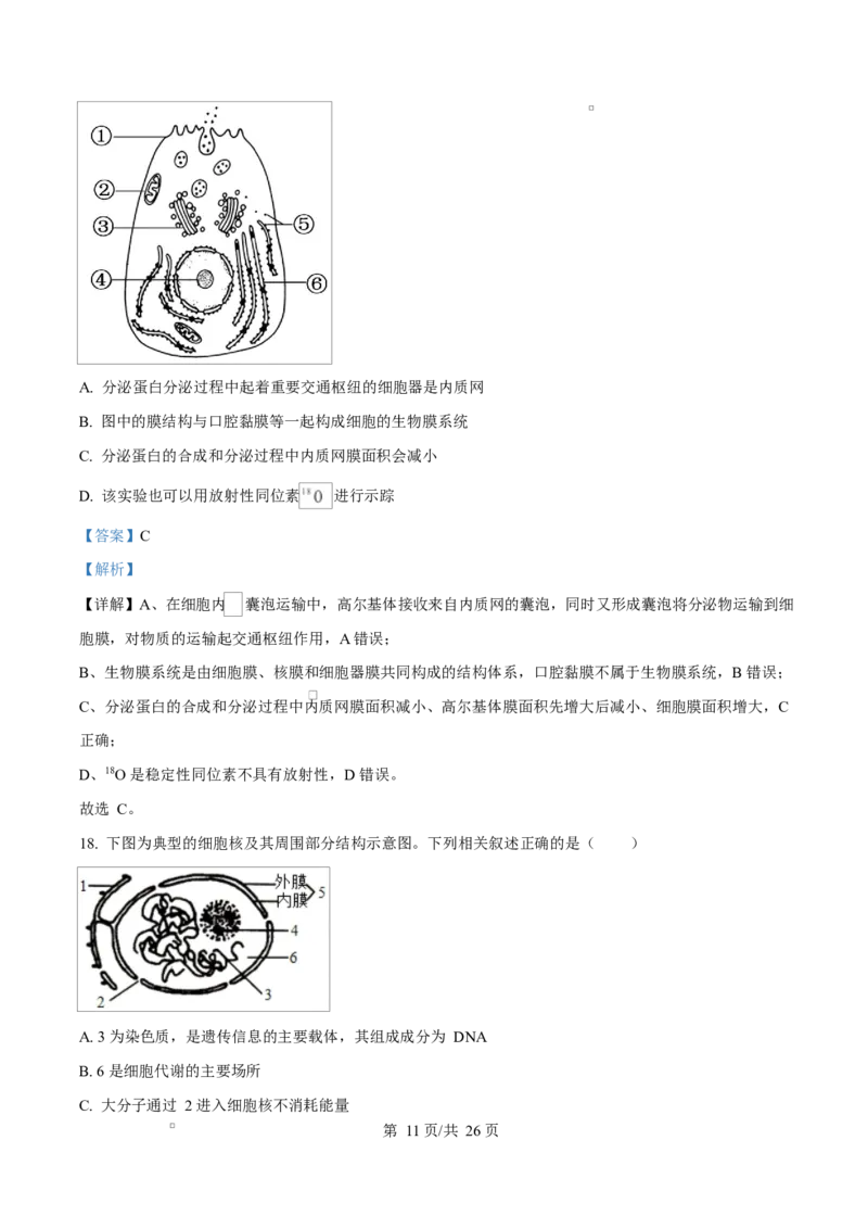 四川省达州市第一中学2025-2026学年高一上学期第二次月考生物试题Word版含解析_2026年01月高一试卷_260102四川省达州市第一中学校2025-2026学年高一上学期第二次月考（全）