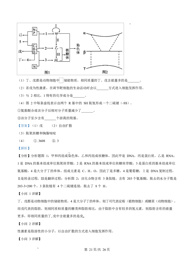 四川省达州市第一中学2025-2026学年高一上学期第二次月考生物试题Word版含解析_2026年01月高一试卷_260102四川省达州市第一中学校2025-2026学年高一上学期第二次月考（全）