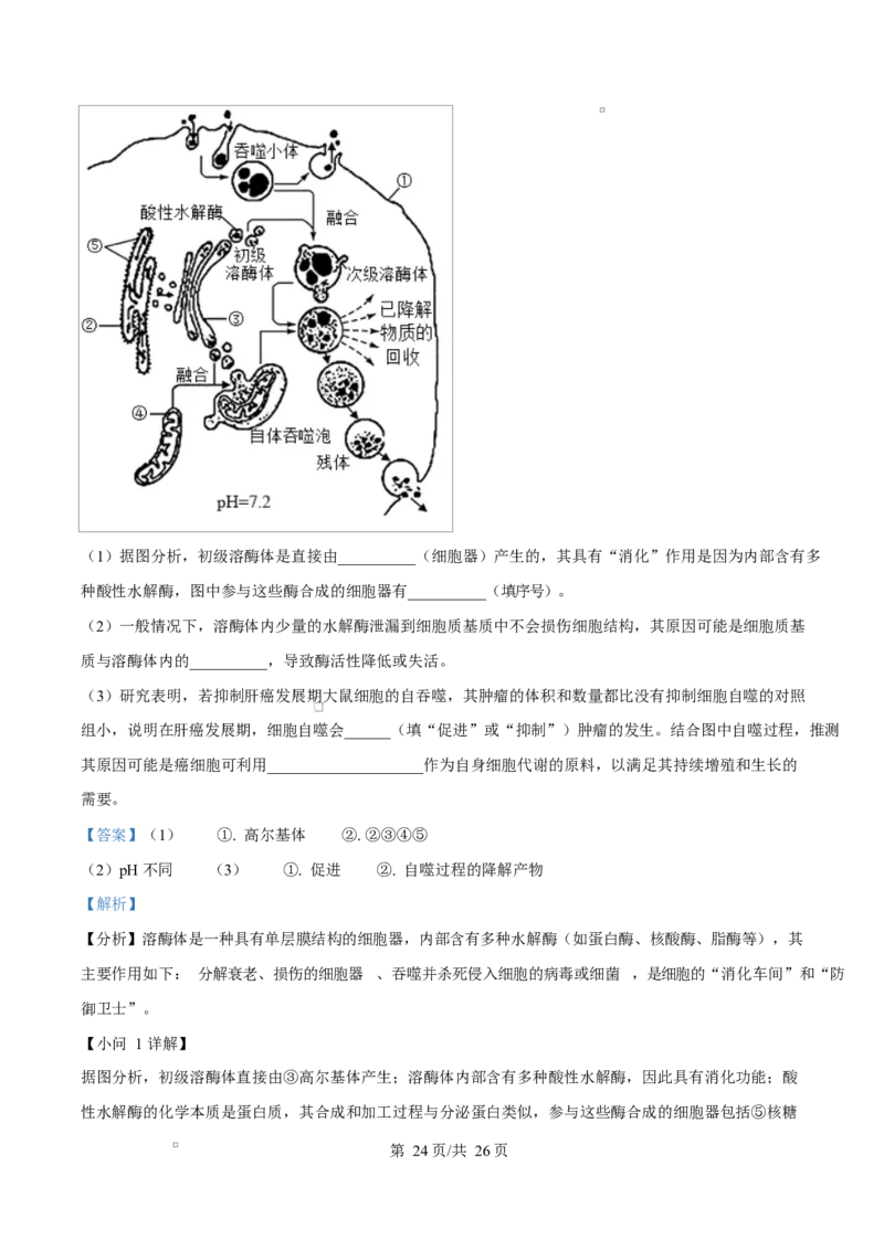 四川省达州市第一中学2025-2026学年高一上学期第二次月考生物试题Word版含解析_2026年01月高一试卷_260102四川省达州市第一中学校2025-2026学年高一上学期第二次月考（全）