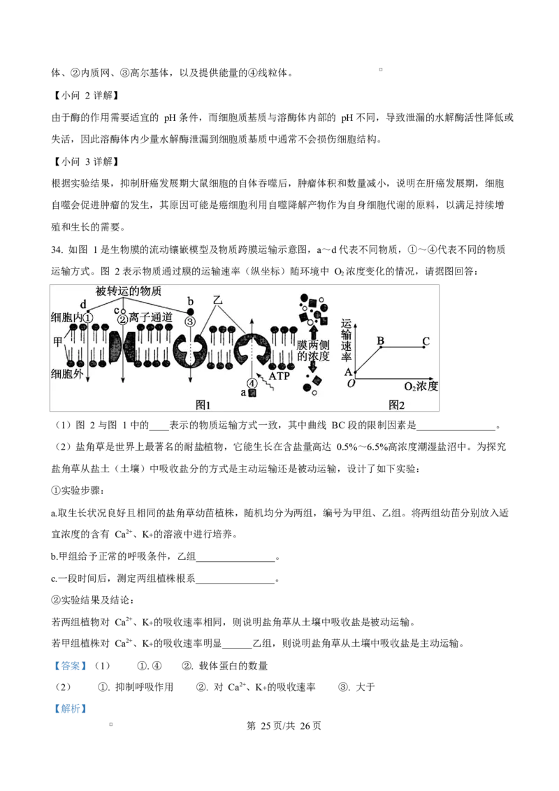 四川省达州市第一中学2025-2026学年高一上学期第二次月考生物试题Word版含解析_2026年01月高一试卷_260102四川省达州市第一中学校2025-2026学年高一上学期第二次月考（全）