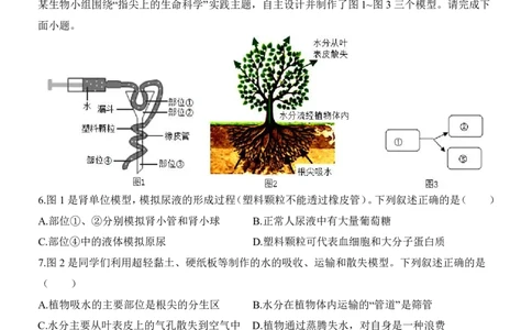 生物(陕西卷)_中考押题2026《中考押题》系列（9科全套实时更新中）_2026版中考《考前押测卷》地区版（地生）_2026《生物中考&bull;考前押题卷》地区版