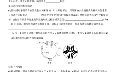 生物(内蒙古卷)_中考押题2026《中考押题》系列（9科全套实时更新中）_2026版中考《考前押测卷》地区版（地生）_2026《生物中考&bull;考前押题卷》地区版