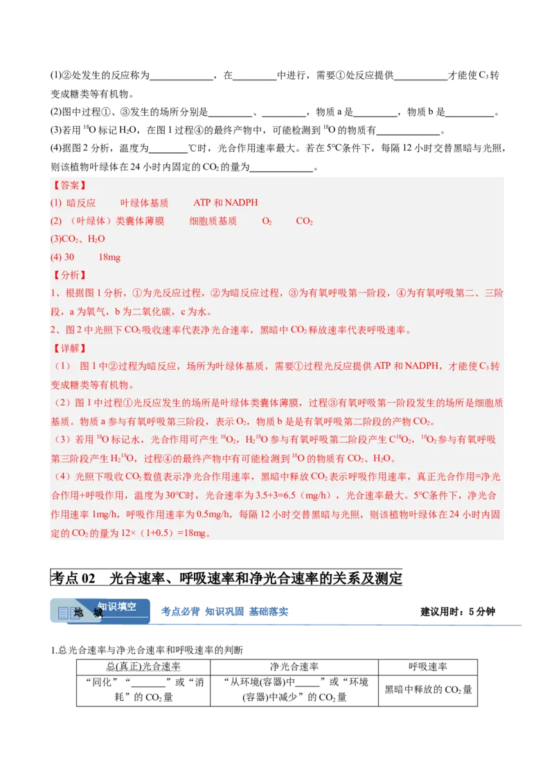考点通关卷11细胞代谢综合分析（解析版）_2025年新高考资料_一轮复习_2025年高考生物一轮复习考点通关卷（新高考通用）