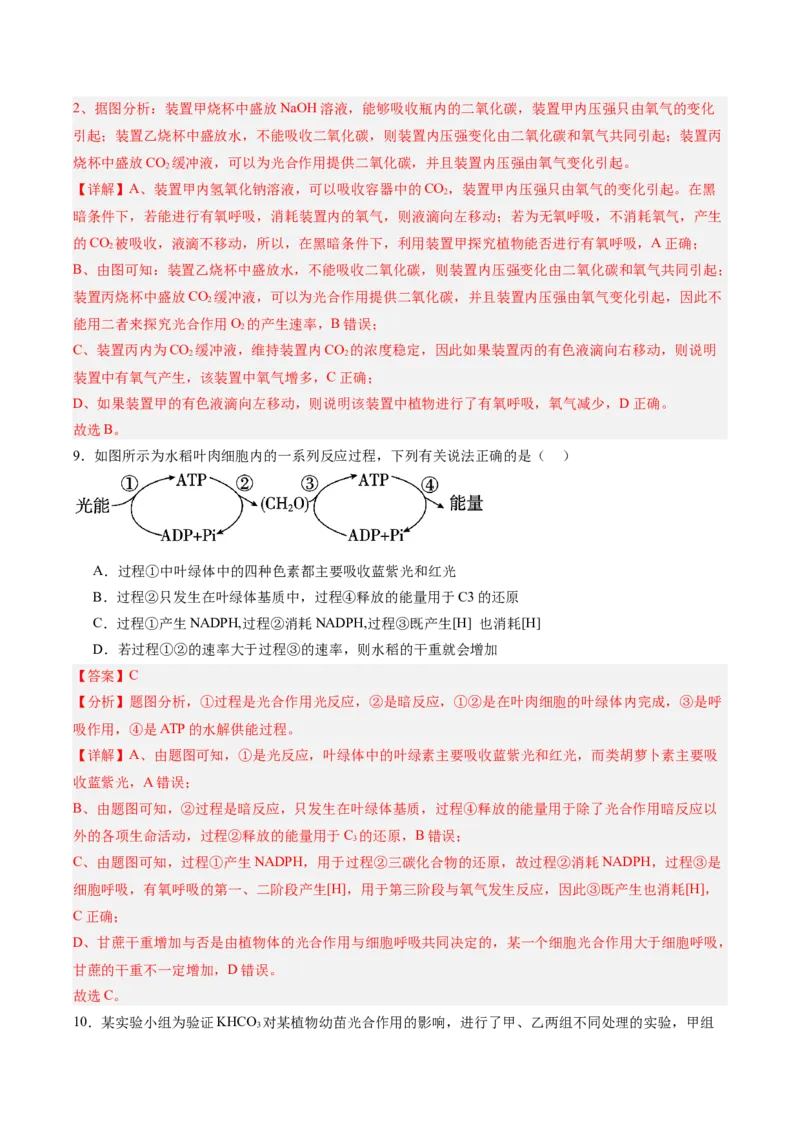 考点通关卷11细胞代谢综合分析（解析版）_2025年新高考资料_一轮复习_2025年高考生物一轮复习考点通关卷（新高考通用）