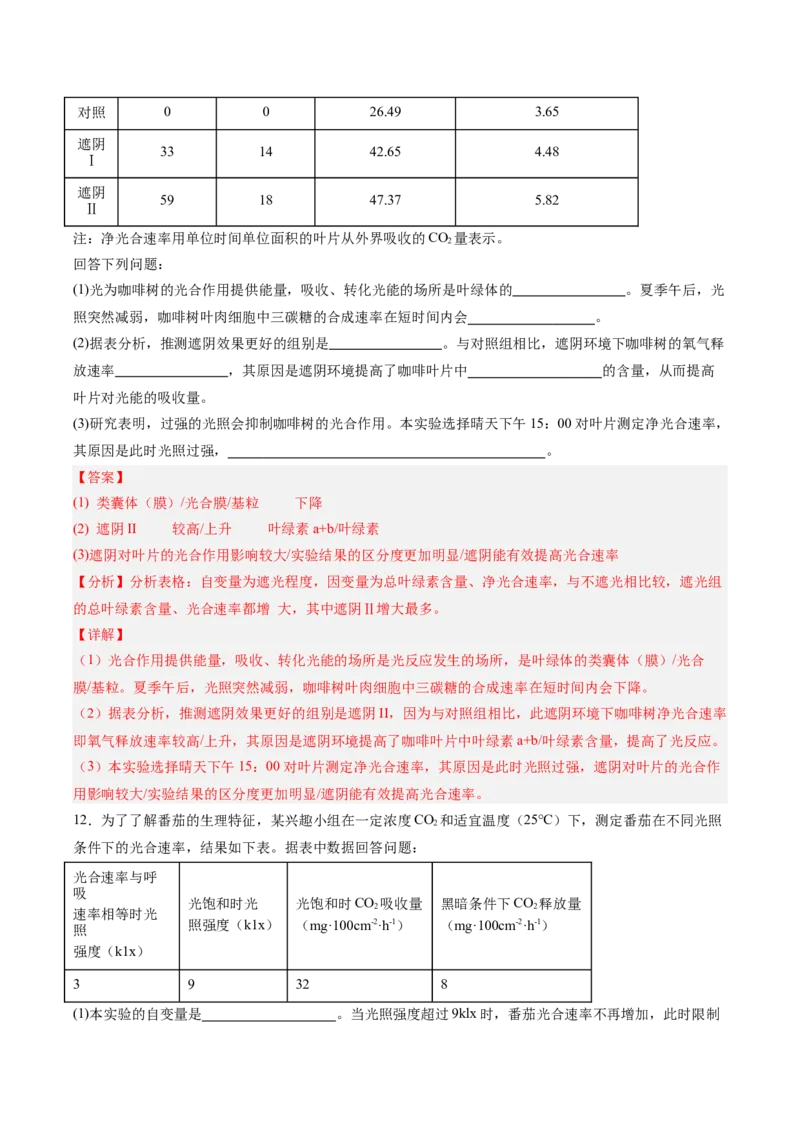 考点通关卷11细胞代谢综合分析（解析版）_2025年新高考资料_一轮复习_2025年高考生物一轮复习考点通关卷（新高考通用）