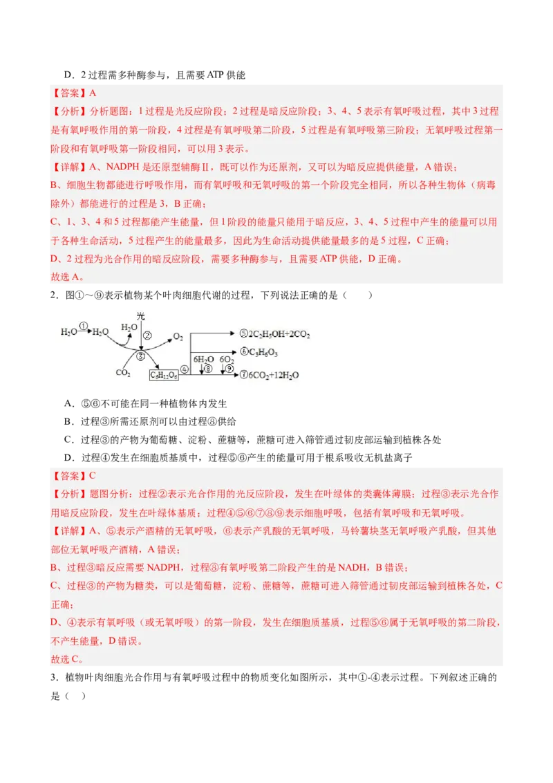 考点通关卷11细胞代谢综合分析（解析版）_2025年新高考资料_一轮复习_2025年高考生物一轮复习考点通关卷（新高考通用）