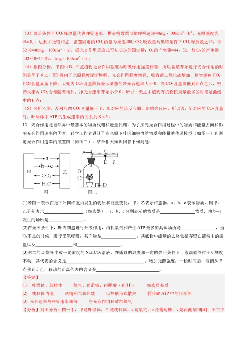 考点通关卷11细胞代谢综合分析（解析版）_2025年新高考资料_一轮复习_2025年高考生物一轮复习考点通关卷（新高考通用）