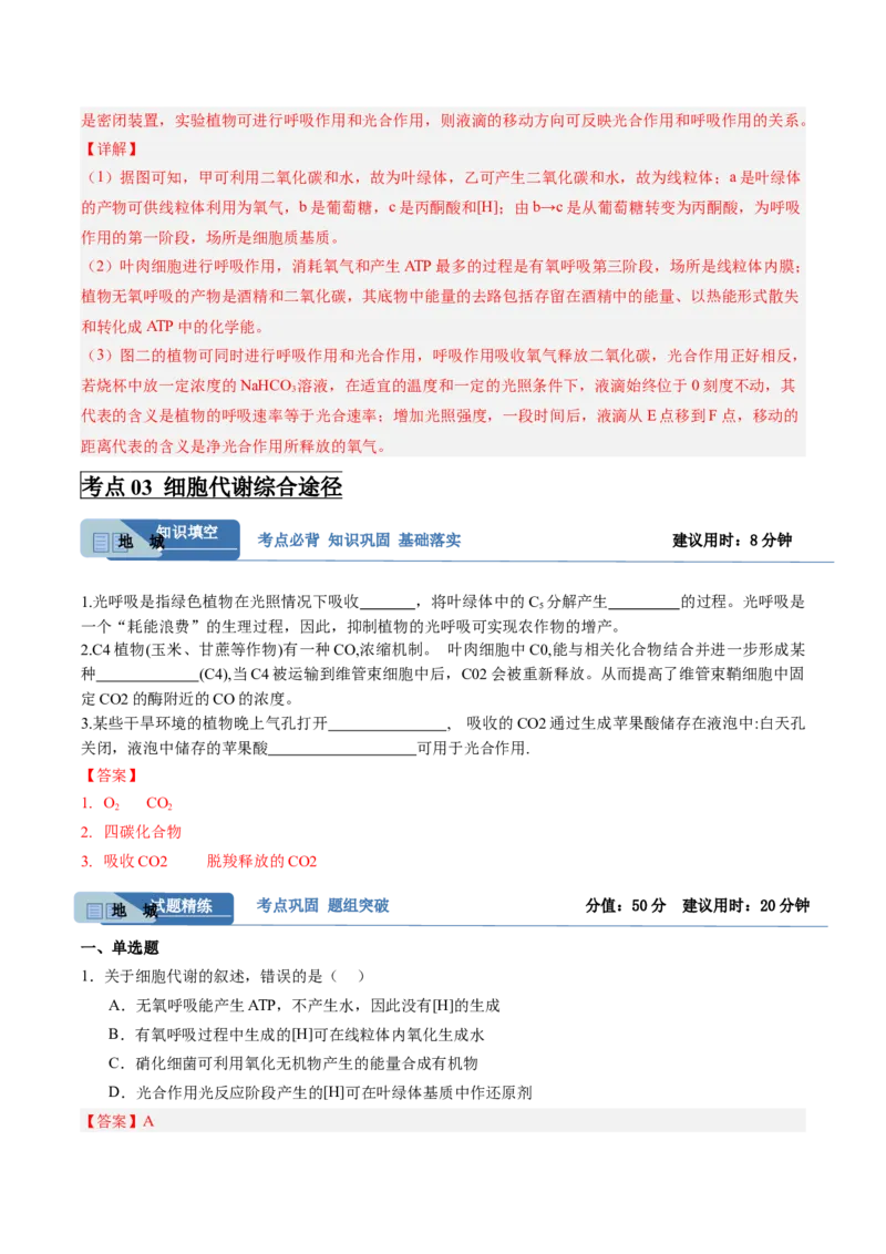 考点通关卷11细胞代谢综合分析（解析版）_2025年新高考资料_一轮复习_2025年高考生物一轮复习考点通关卷（新高考通用）