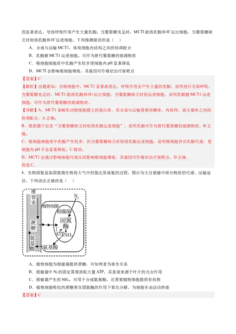 考点通关卷11细胞代谢综合分析（解析版）_2025年新高考资料_一轮复习_2025年高考生物一轮复习考点通关卷（新高考通用）